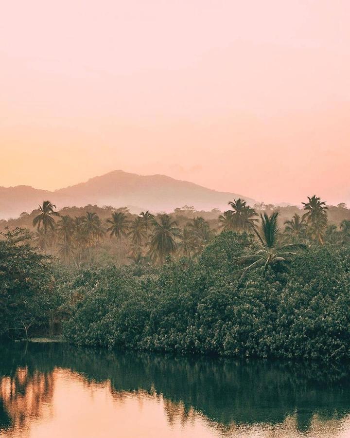 Hotel Jasayma Dentro Del Parque Tayrona El Zaino Luaran gambar